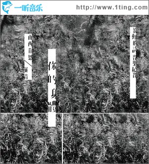 你的身体/叶青（单曲）