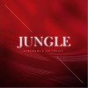 Jungle（单曲）