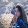 愿（单曲）