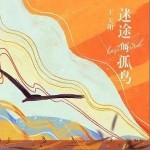迷途的孤鸟（单曲）详情
