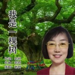 我是一棵树（单曲）试听