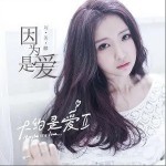 因为是爱（单曲）详情