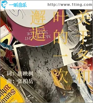 关于冬和叶的一次邂逅（单曲）