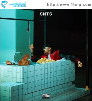 SNTS（单曲）