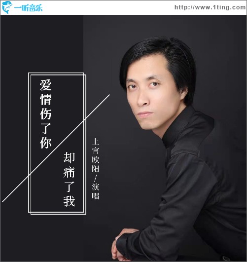爱情伤了你却痛了我（单曲）