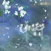 弹指芳华（单曲）
