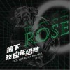 摘下玫瑰花给她（单曲）