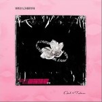 模子（单曲）详情