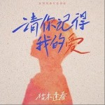 请你记得我的爱（单曲）详情