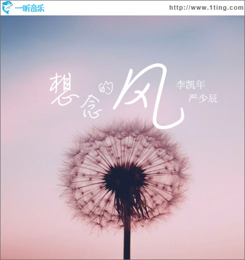 想念的风（单曲）