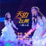 天边飞来一群小鸟（单曲）详情