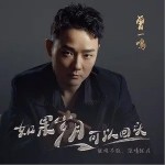 如果岁月可以回头（单曲）详情