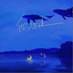 你经过（单曲）详情