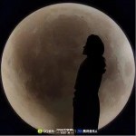 坠入无边的星河（单曲）详情