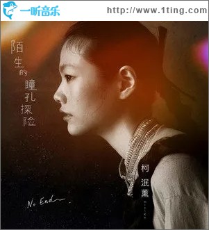 陌生的瞳孔探险（单曲）