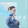 最低要求（单曲）