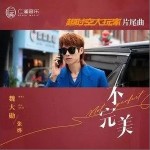 不完美（单曲）详情
