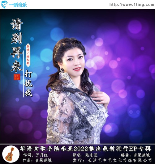 请别再打扰我（单曲）