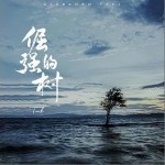 倔强的树（单曲）详情