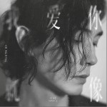 我爱你就像（单曲）详情