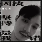 固执坚持是我错（单曲）详情