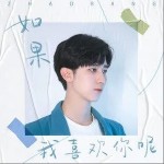 如果我喜欢你呢（单曲）详情