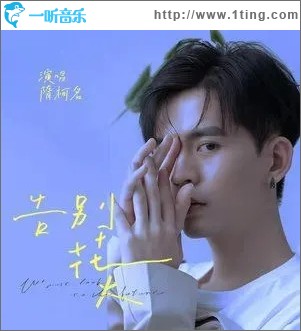 告别花火（单曲）