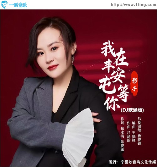 我在丰安屯等你 (DJ默涵版)（单曲）