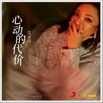 心动的代价（单曲）详情