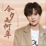 今夕是何年（单曲）详情