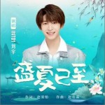 盛夏已至 （单曲）详情
