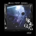 你走以后 （单曲）详情