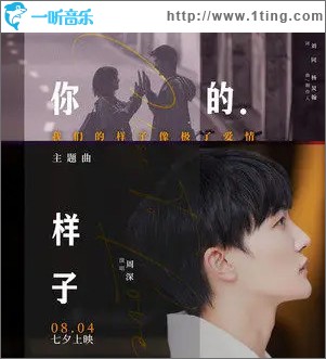 你的样子 （单曲）
