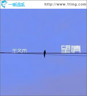 望情 （单曲）