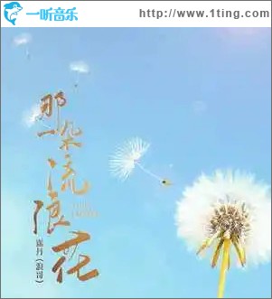 那一朵流浪花 （单曲）