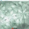 七叔（叶泽浩） 时间诗人 - 七叔（叶泽浩） /吴大文 试听
