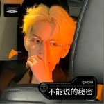不能说的秘密 （单曲）详情