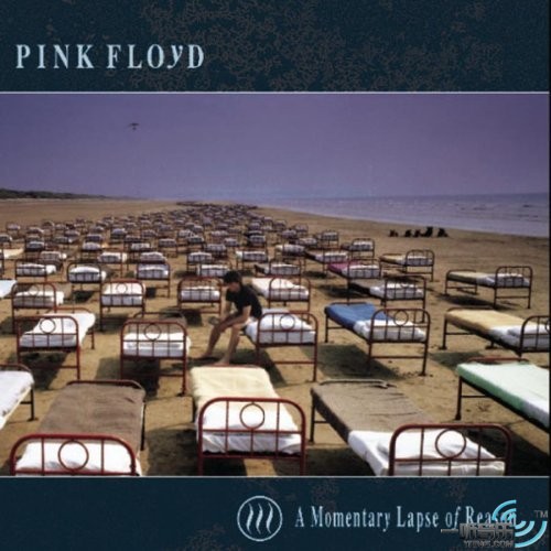 A Momentary Lapse Of Reason