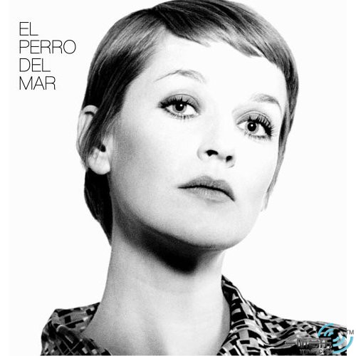 El Perro Del Mar