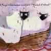 Margot & the Nuclear So and So's A Sea Shanty Of Sorts 试听