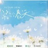 羊仔 第三个春天  试听