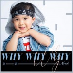 why why why （单曲）详情