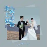 我看上的姑娘 （单曲）详情