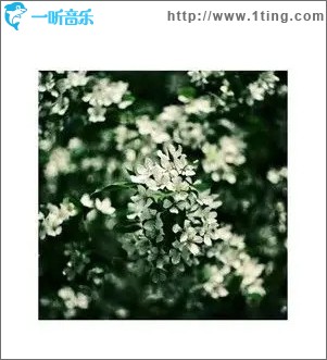 失眠随笔 （单曲）