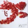 何轶 飞 - 何轶 /北京环球音像 试听