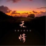 无情 （单曲）详情