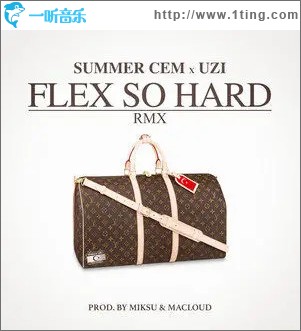 FLEX SO HARD RMX (Explicit)