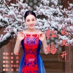 红梅花又开 （单曲）详情