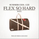 FLEX SO HARD RMX (Explicit)详情
