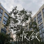 收敛 （EP）详情